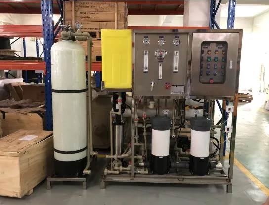 Swro Plant Seawater Filtration System Wellwater Desalination Equipment with RO System